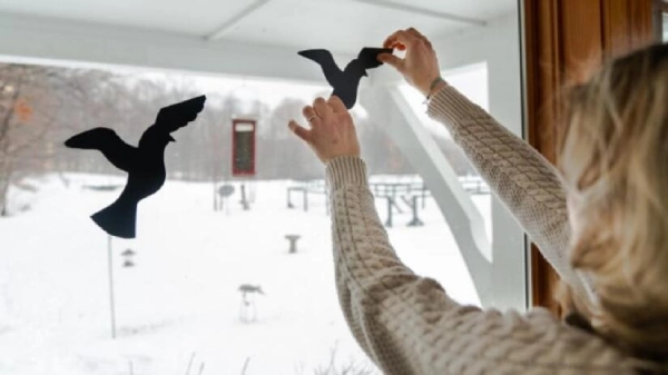 Paper birds being applied to a window
